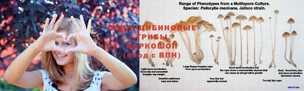 каннабис Алексин