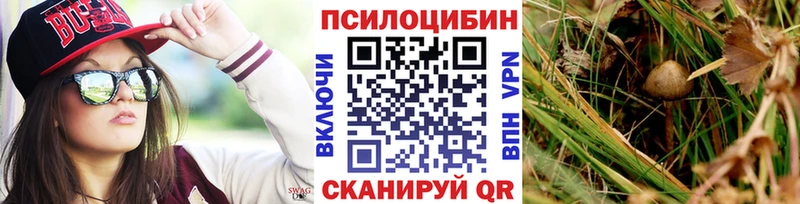 ОМГ ОМГ как войти  Берёзовский  Галлюциногенные грибы Psilocybe 